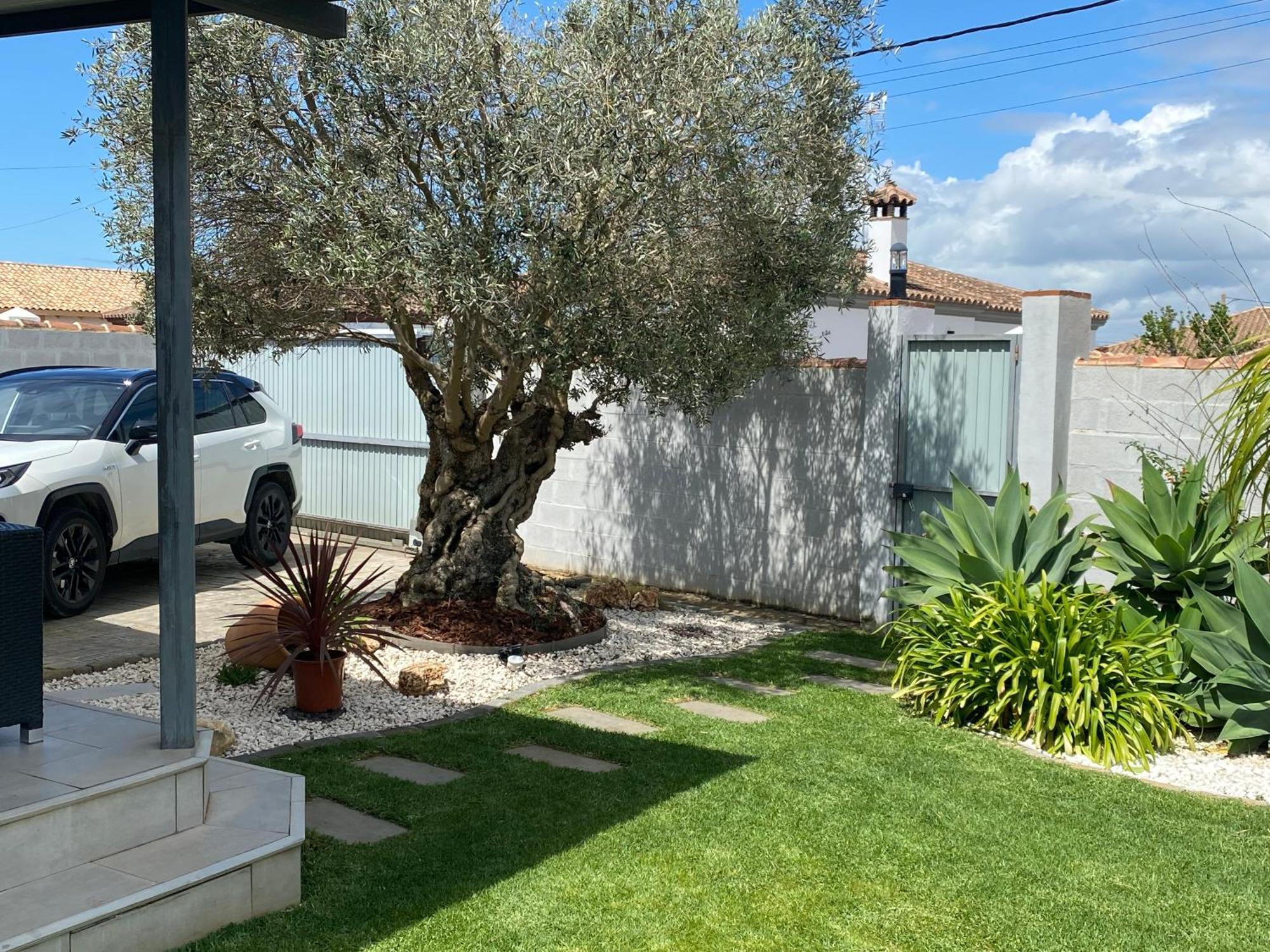 Villa Arbol Del Tule Chiclana de la Frontera Exterior foto
